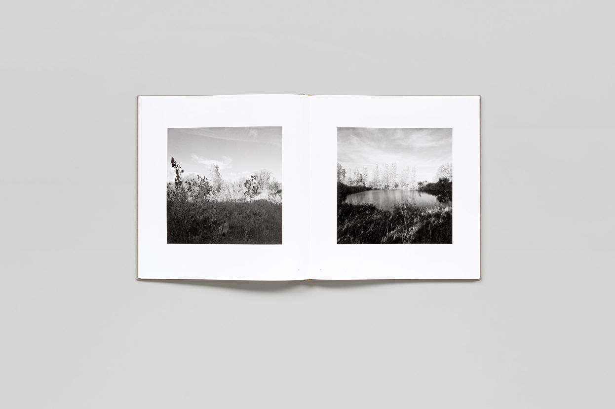 Robert Adams: Cottonwoods