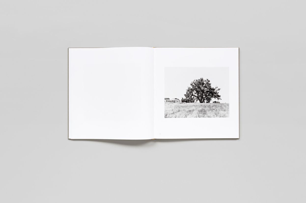 Robert Adams: Cottonwoods