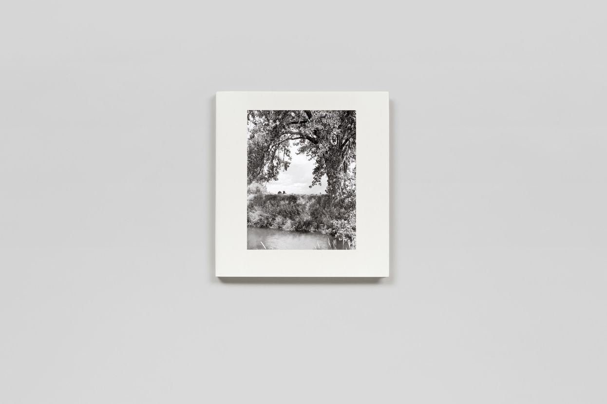 Robert Adams: Cottonwoods