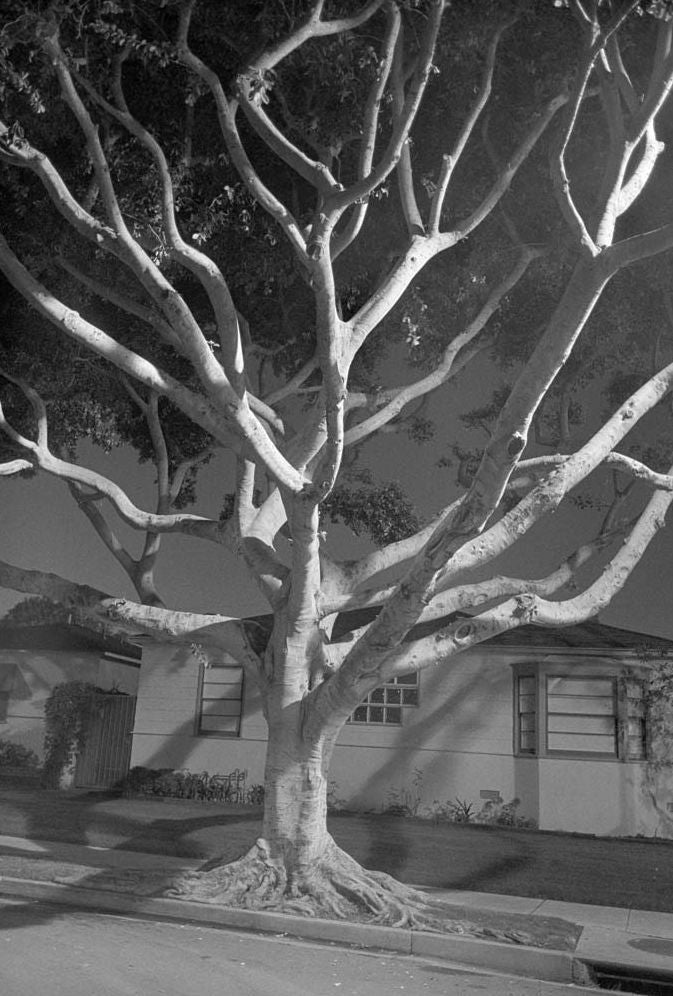Henry Wessel: Traffic/Sunset Park/Continental Divide
