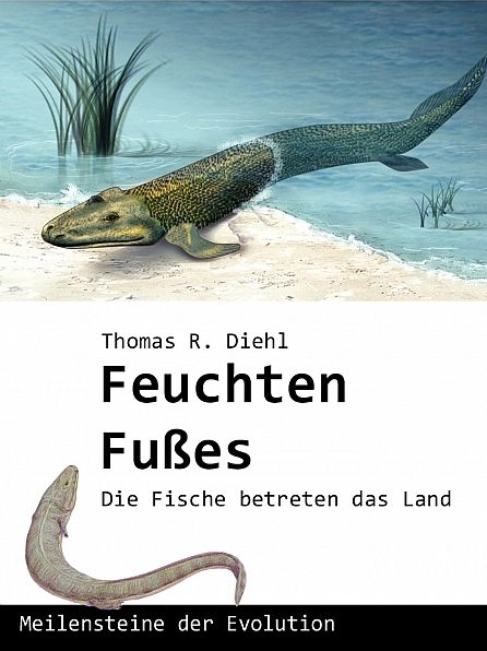 Feuchten Fußes