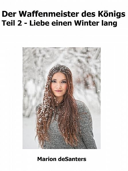 Der Waffenmeister des Königs