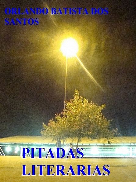 Pitadas literárias