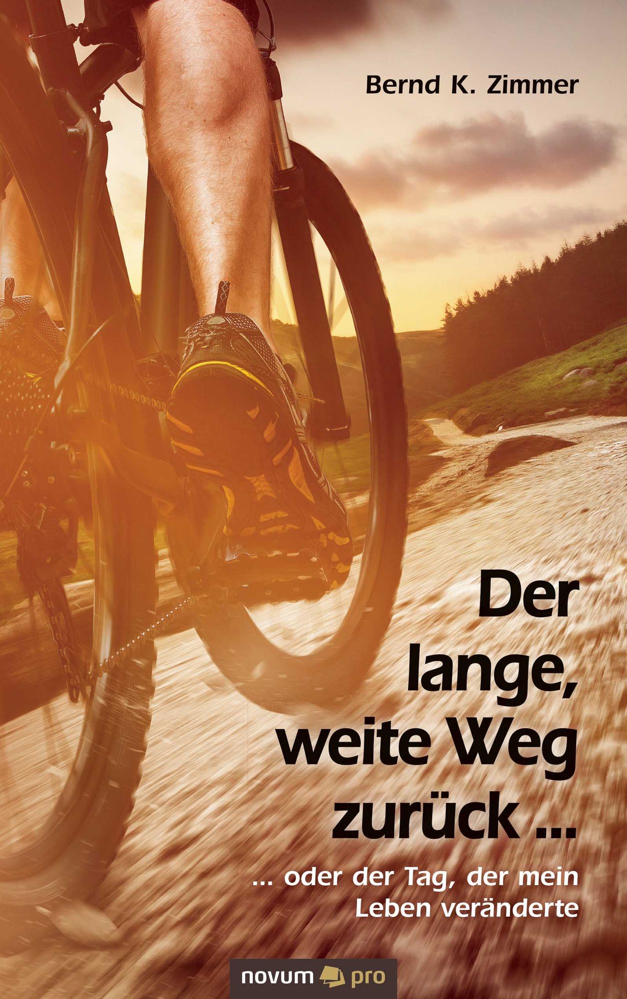 Der lange, weite Weg zurück ...: ... oder der Tag, der mein Leben veränderte