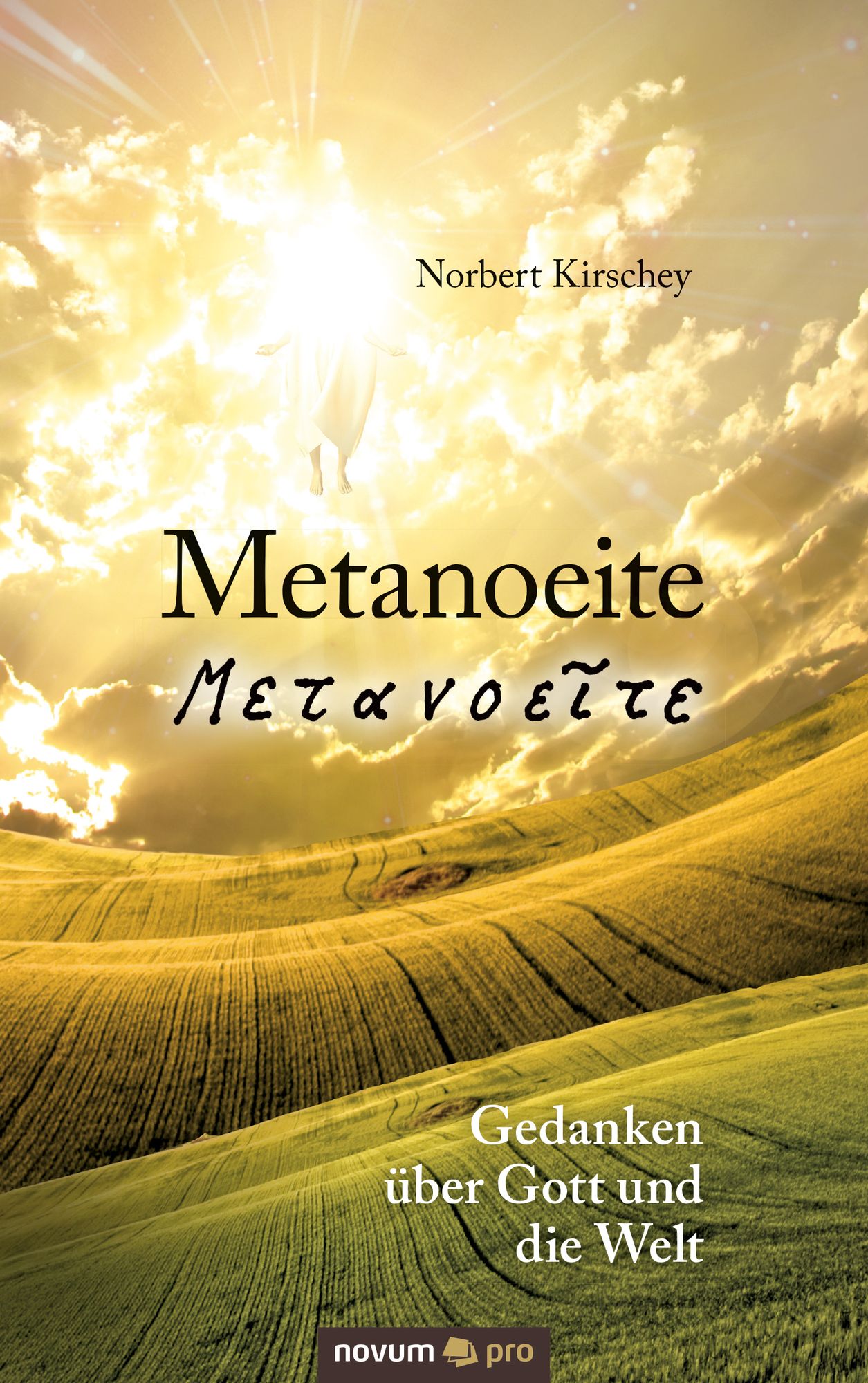Metanoeite: Gedanken über Gott und die Welt