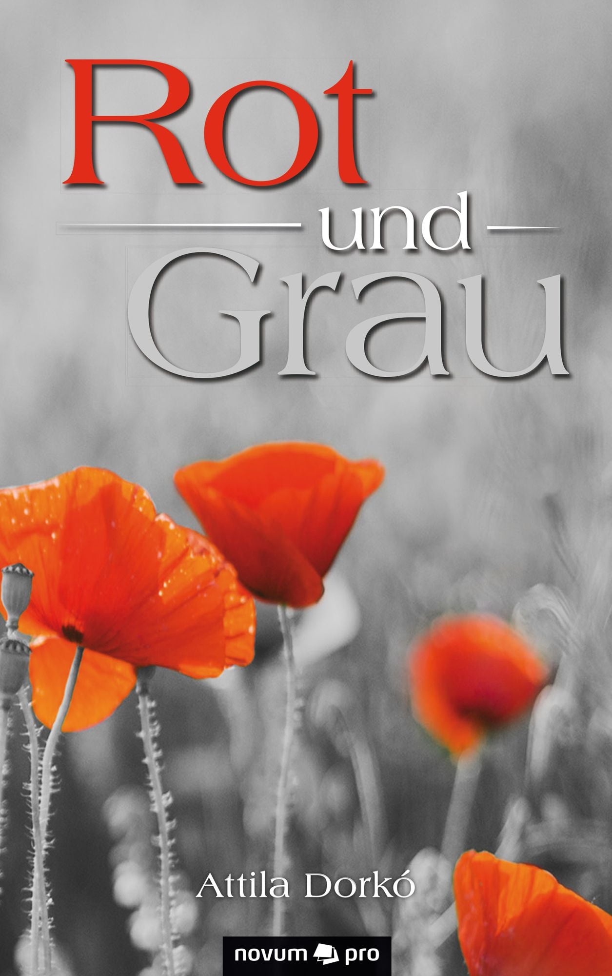 Rot und Grau