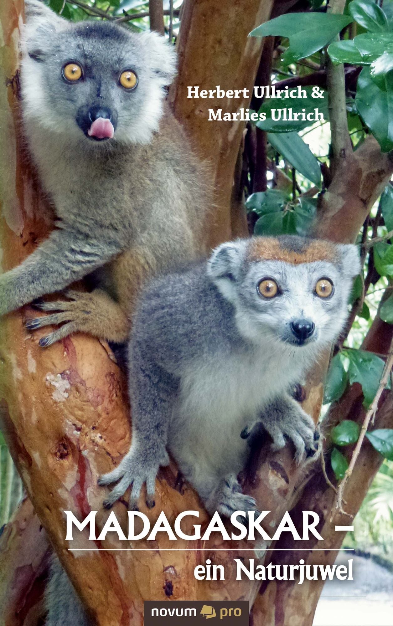Madagaskar - ein Naturjuwel