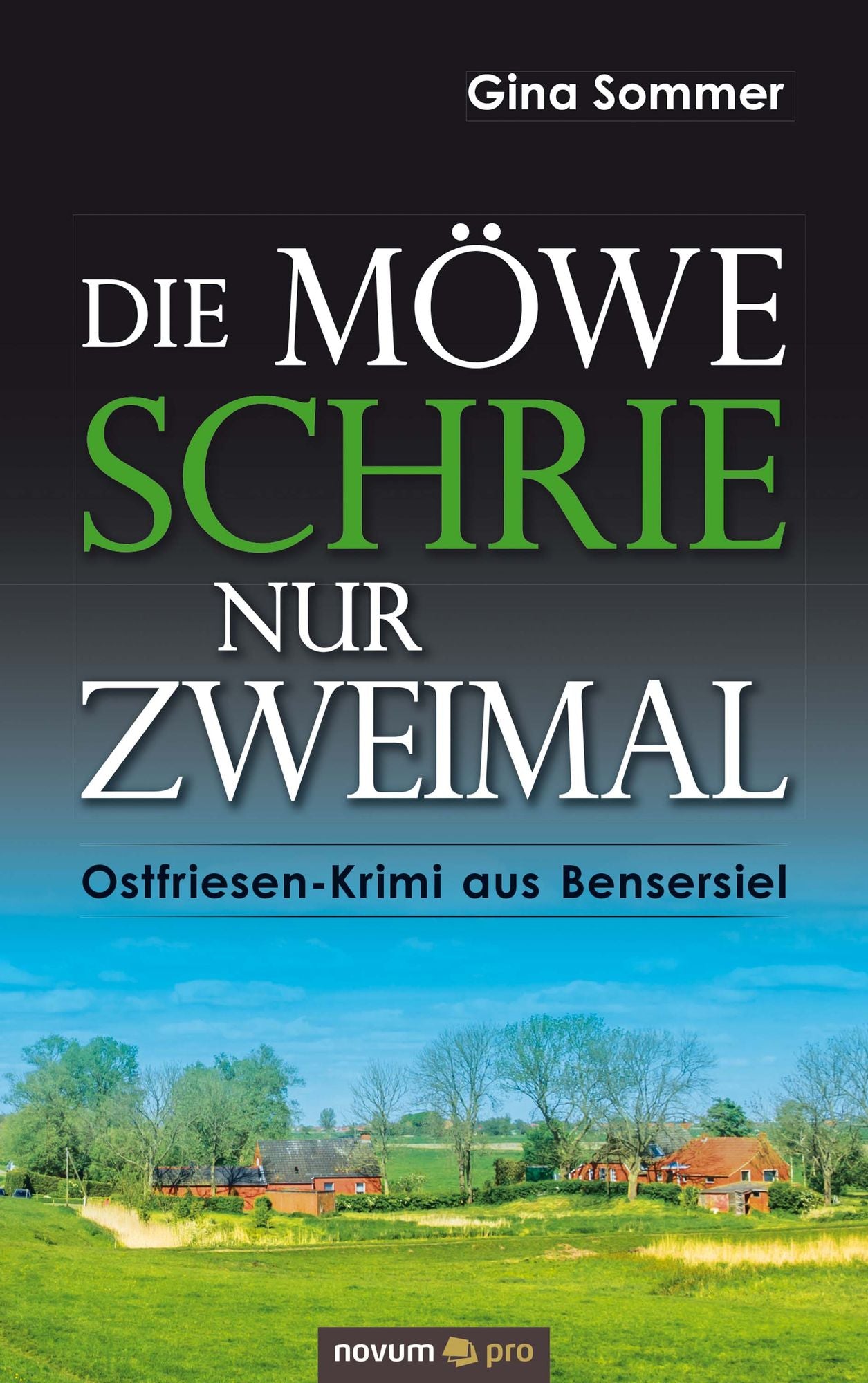 Die Möwe schrie nur zweimal: Ostfriesen-Krimi aus Bensersiel