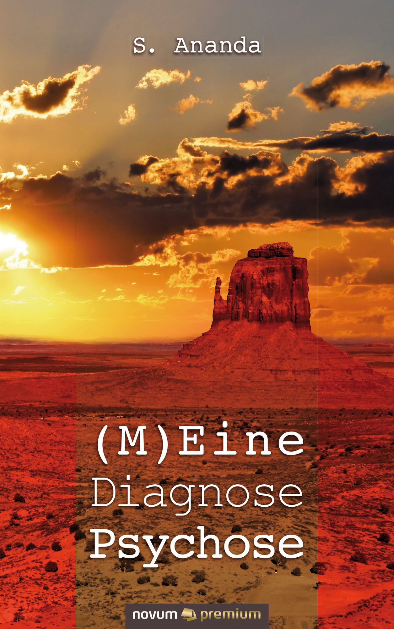 (M)Eine Diagnose Psychose