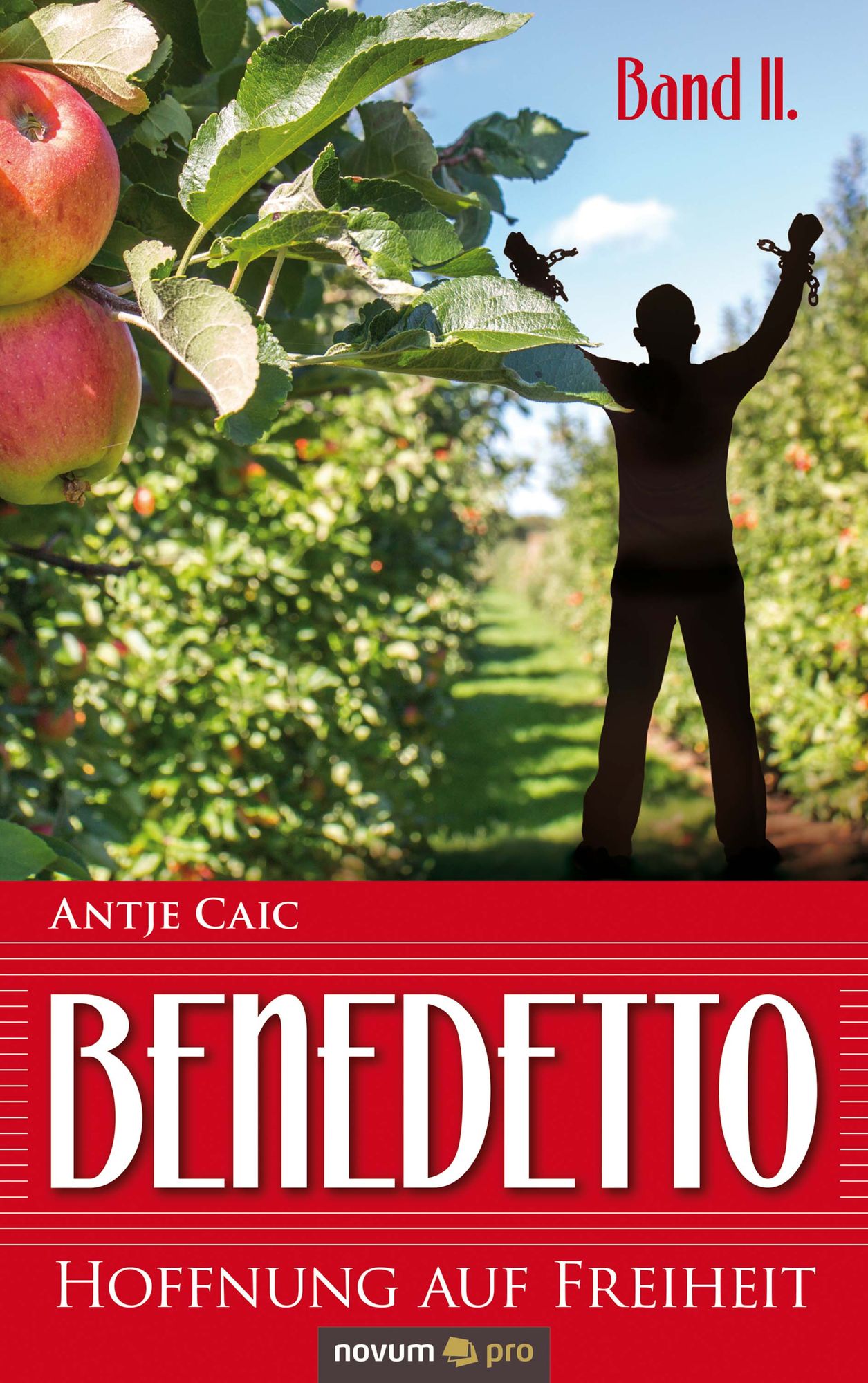 Benedetto: Hoffnung auf Freiheit - Band 2