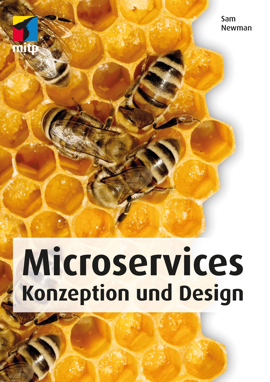 Microservices (mitp Professional): Konzeption und Design