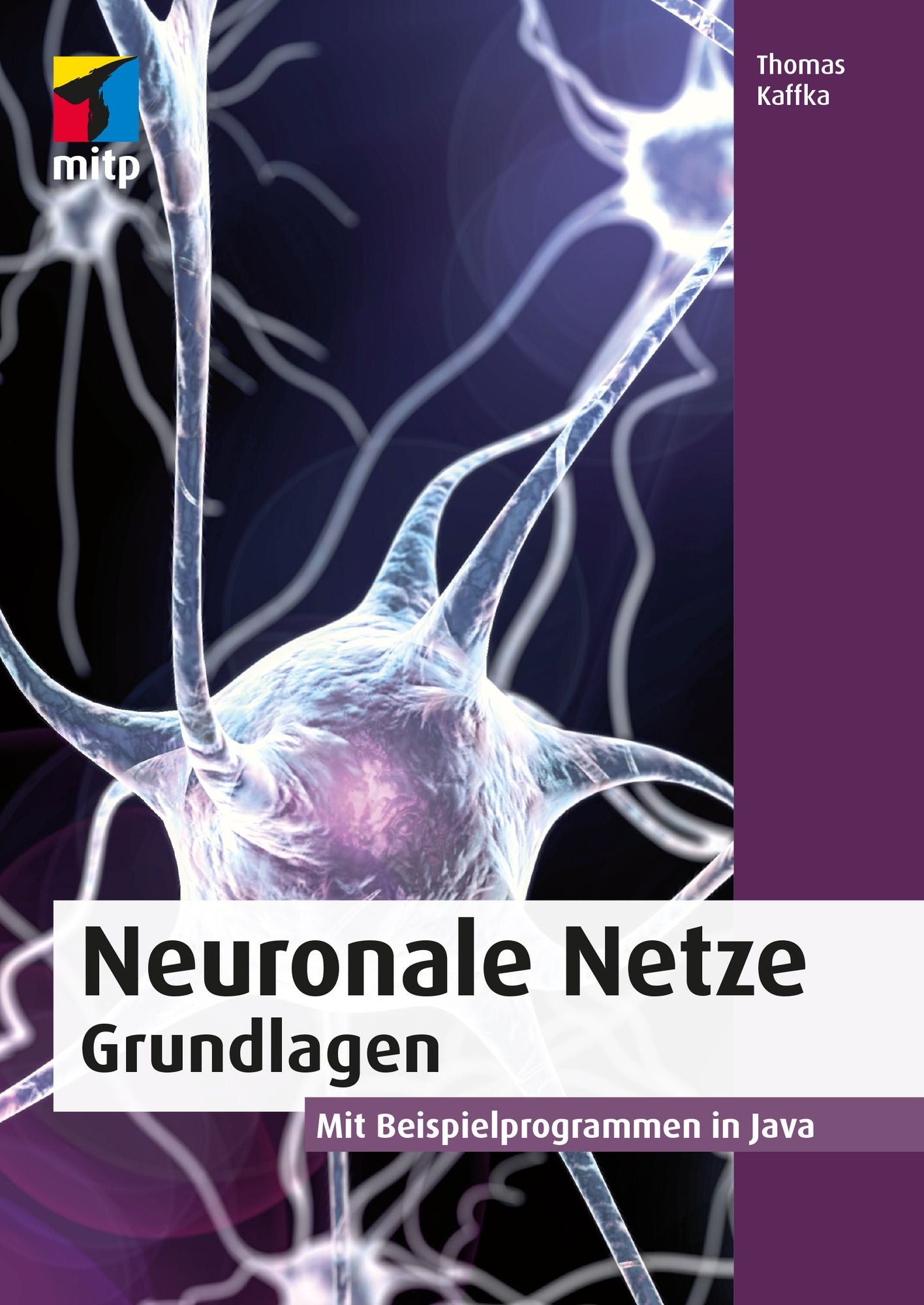 Neuronale Netze - Grundlagen: Mit Beispielprogrammen in Java