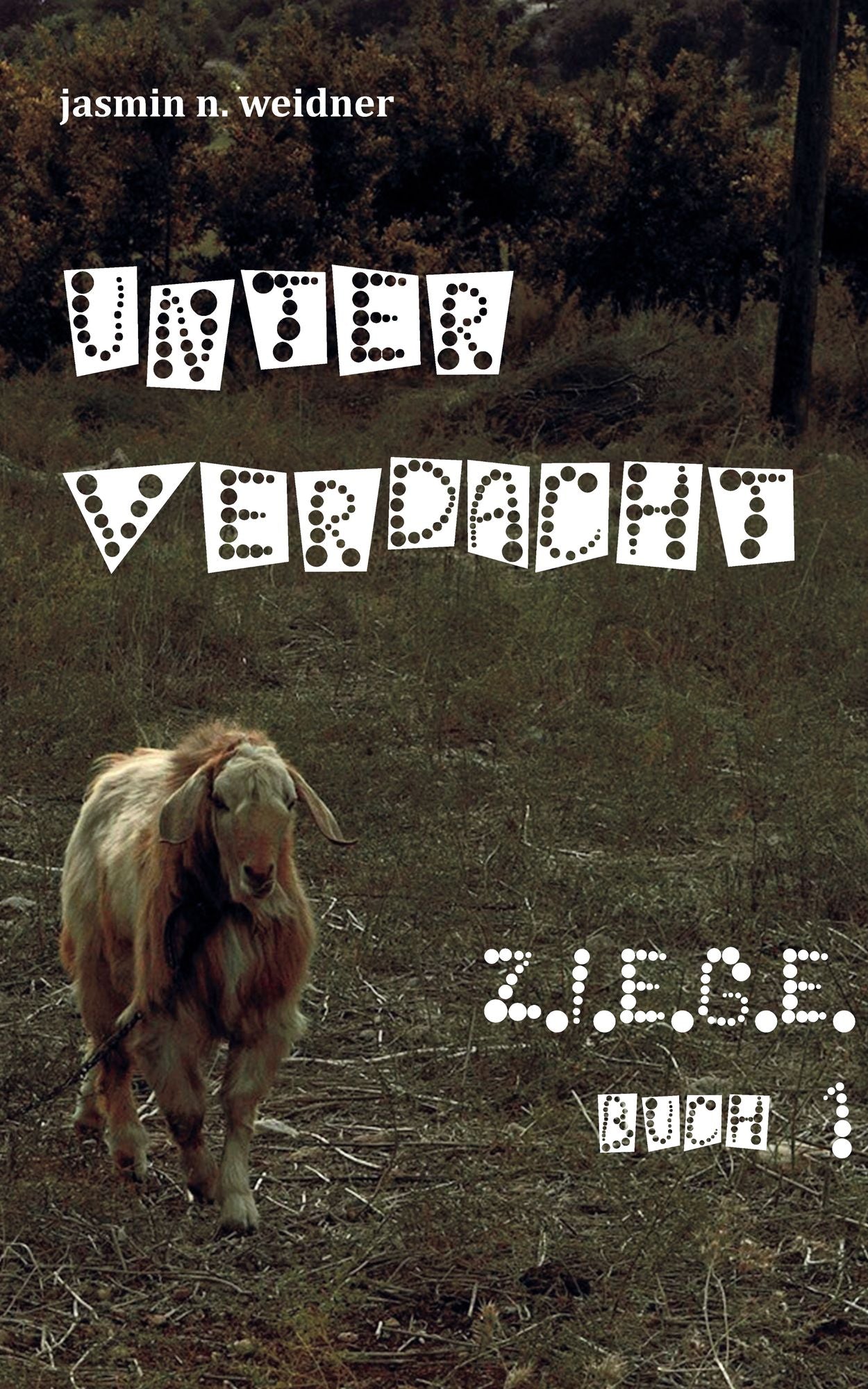 Z.I.E.G.E: Buch 1. Unter Verdacht