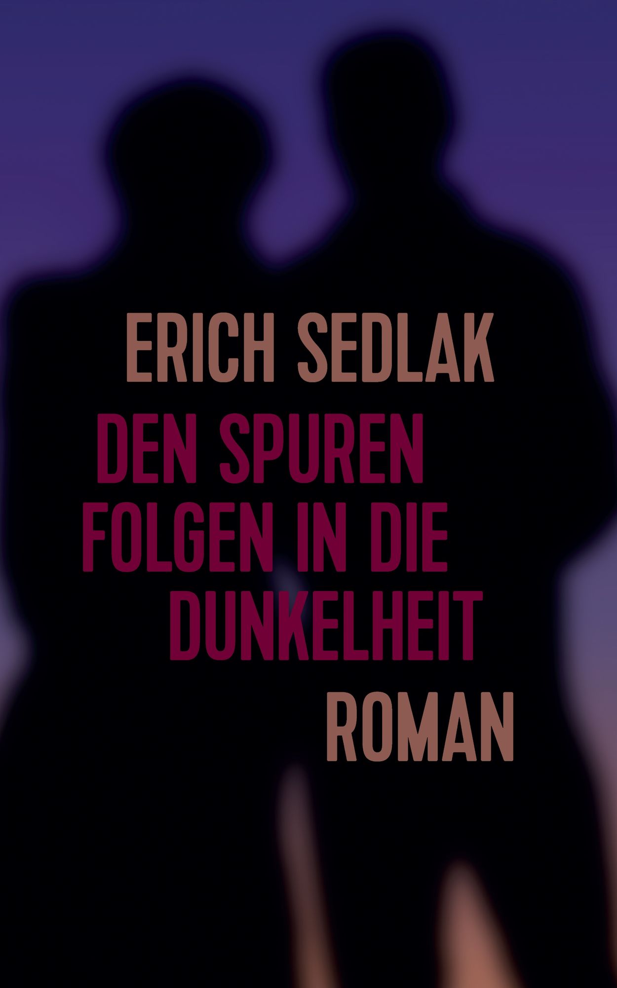 Den Spuren folgen in die Dunkelheit: Roman