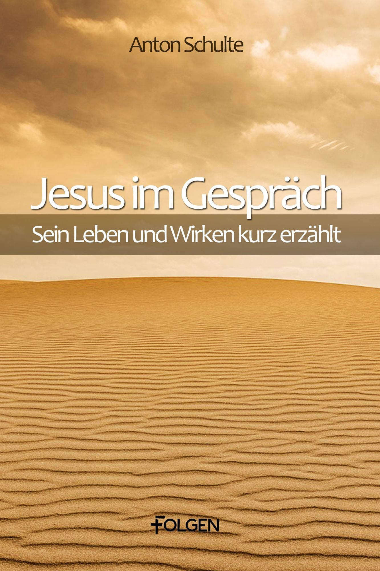 Jesus im Gespräch: Sein Leben und Wirken kurz erzählt