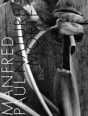 Manfred Paul: Nature Morte: 1983-1985