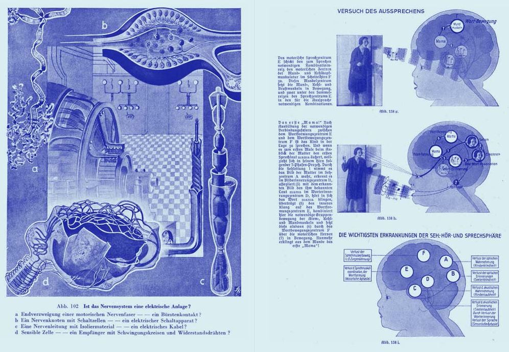 Image Factories: Infographics 1920-1945: Fritz Kahn, Otto Neurath Et Al.