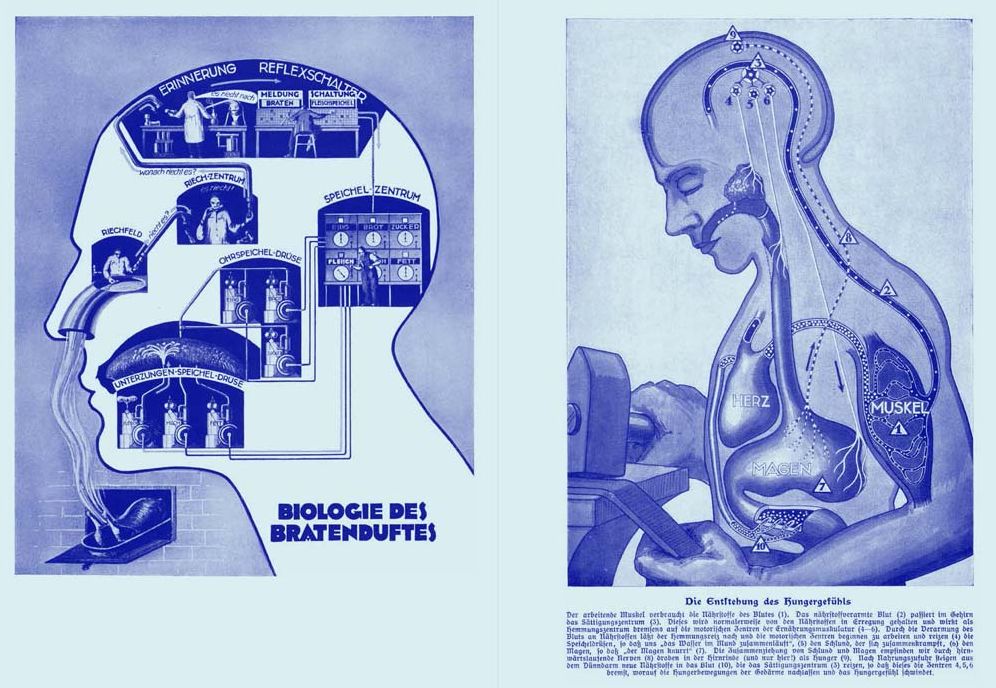 Image Factories: Infographics 1920-1945: Fritz Kahn, Otto Neurath Et Al.