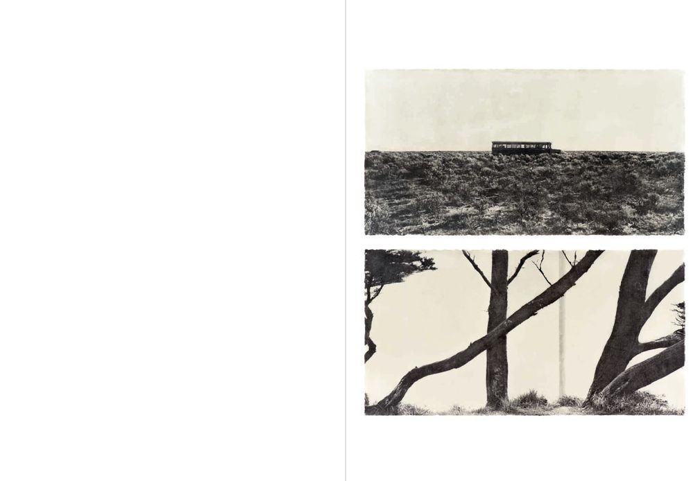 Jungjin Lee: Echo