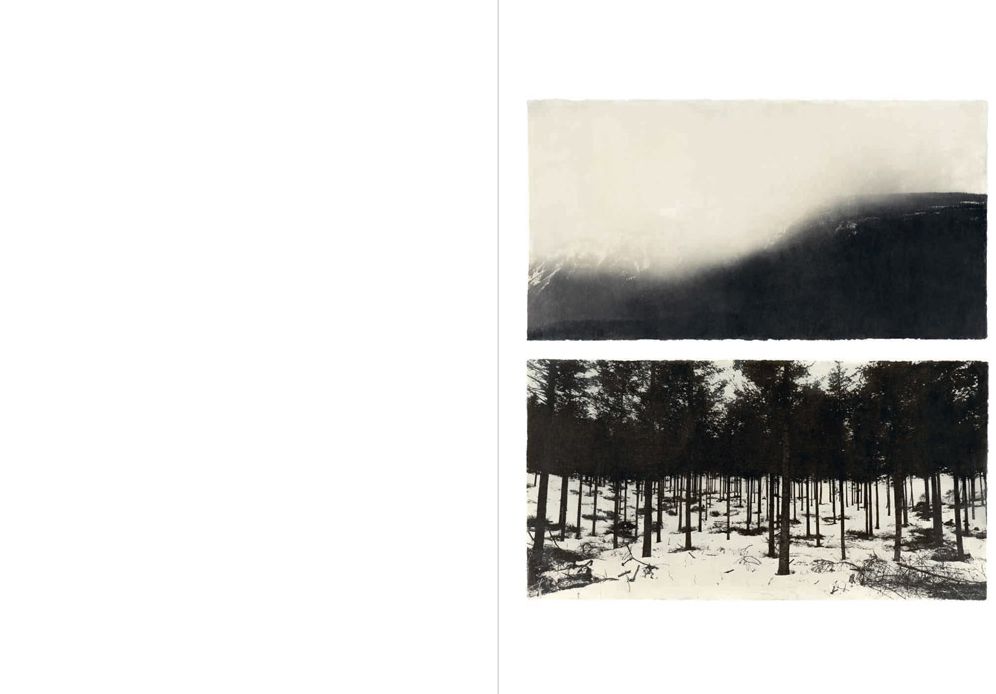 Jungjin Lee: Echo