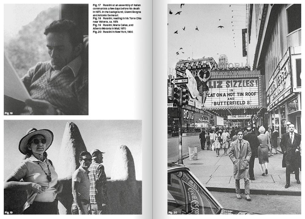 Pasolini : The Apocalyptic Anarchist