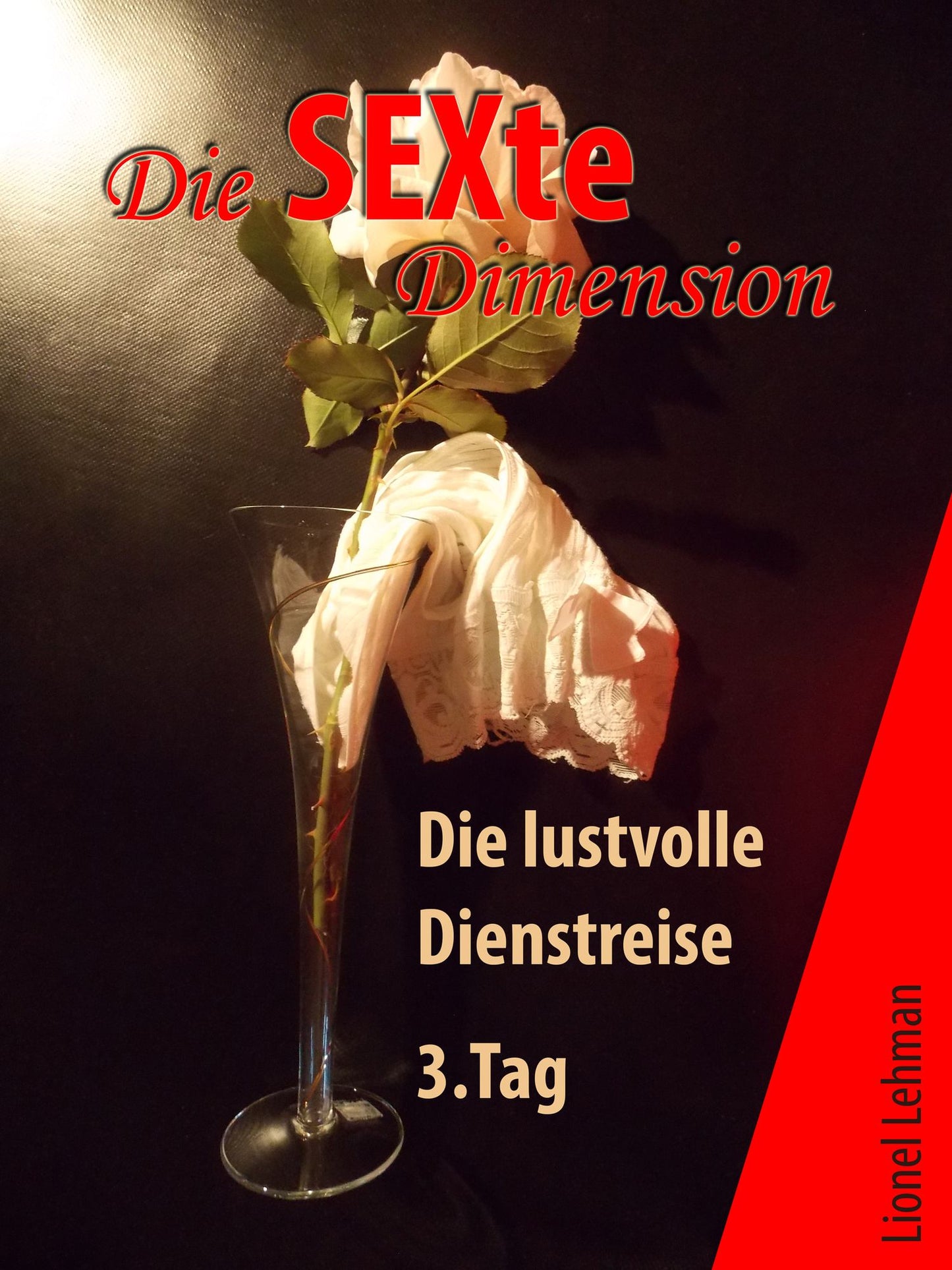 Die lustvolle Dienstreise - 3. Tag