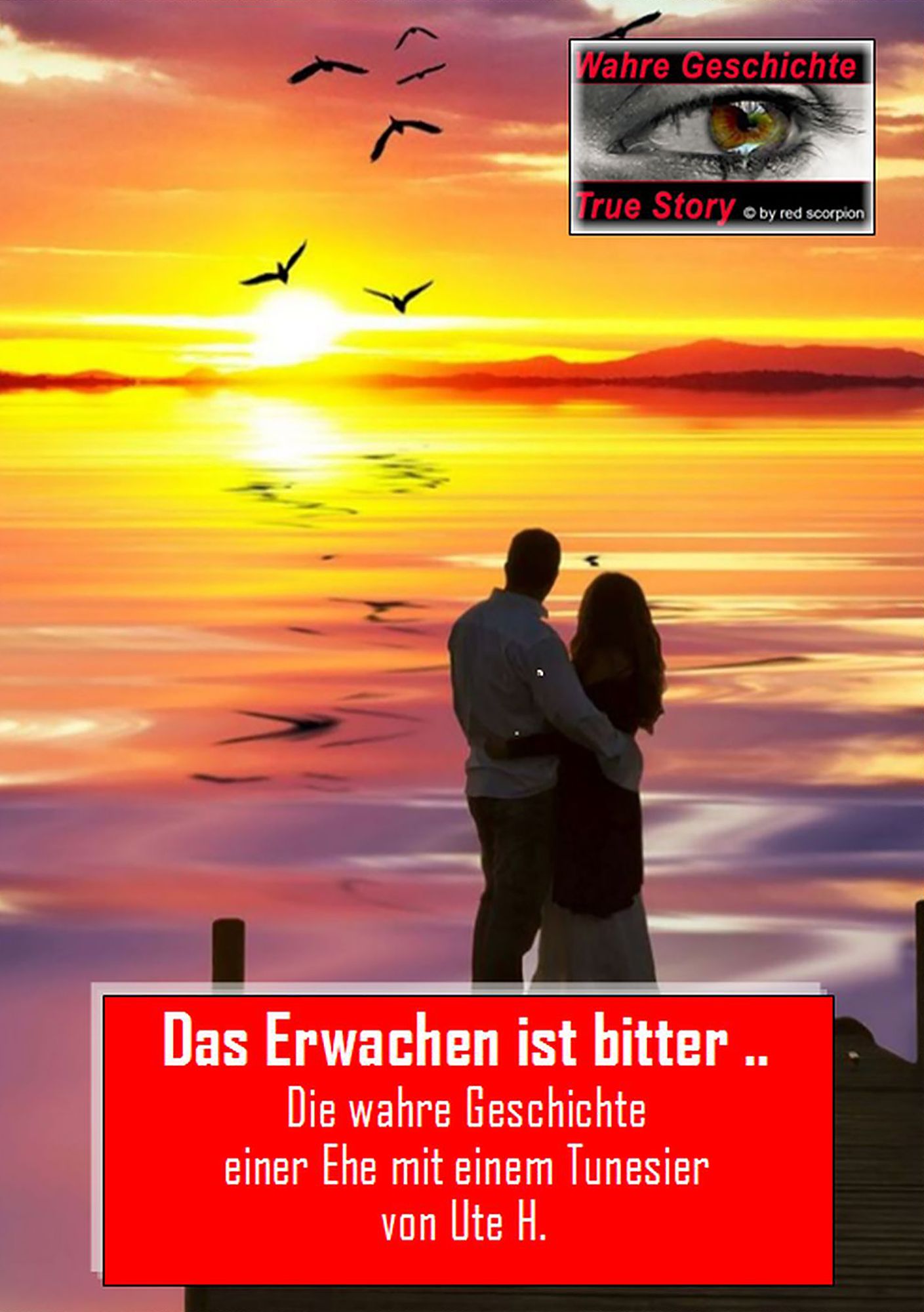 Das Erwachen ist bitter ...: Die wahre Geschichte einer Ehe mit einem Tunesier