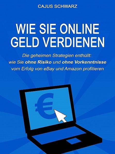Wie Sie online Geld verdienen