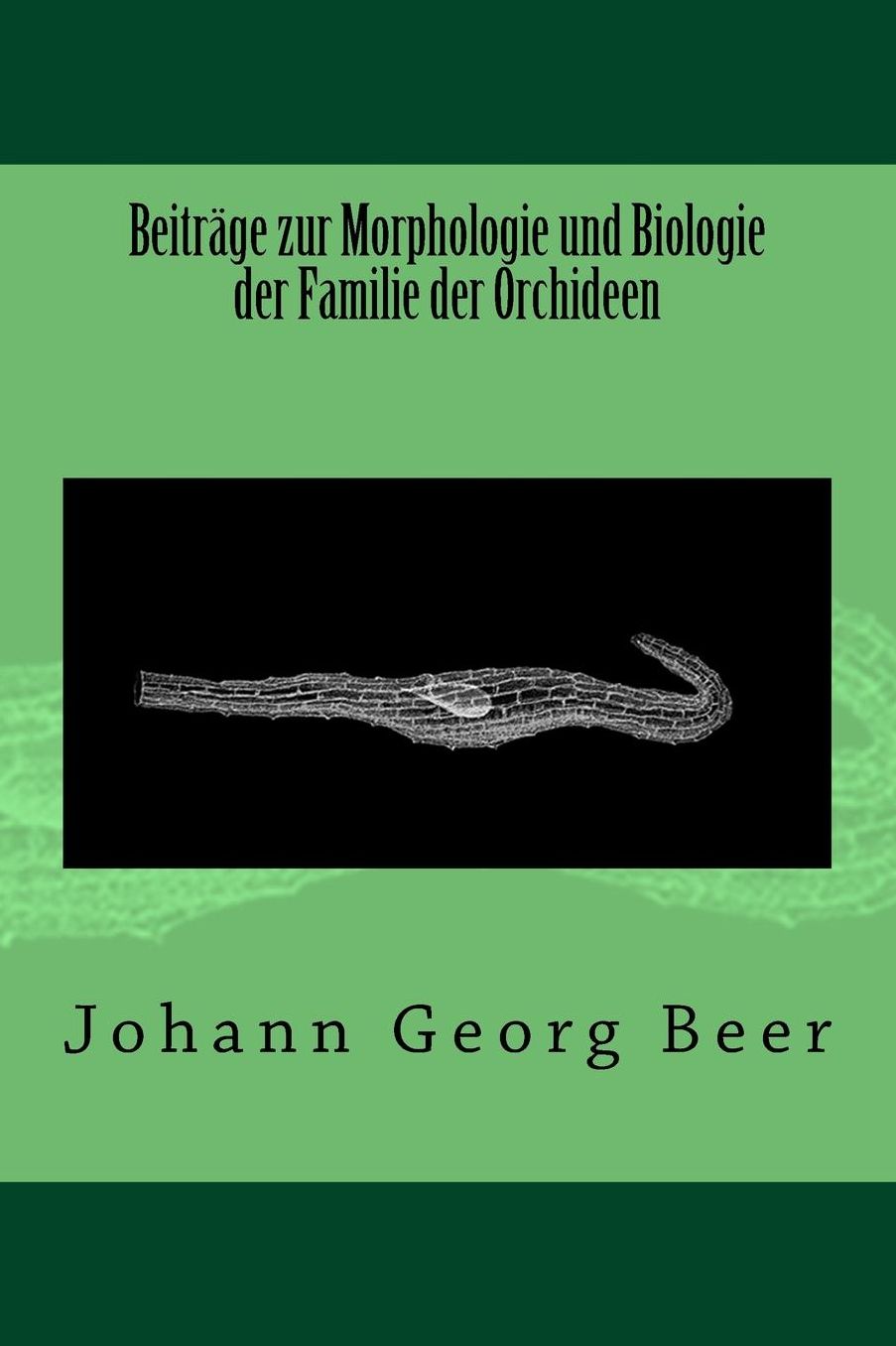 Beiträge zur Morphologie und Biologie der Familie der Orchideen