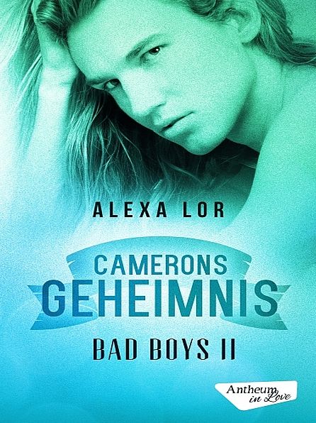 Camerons Geheimnis (Bad Boys 2)
