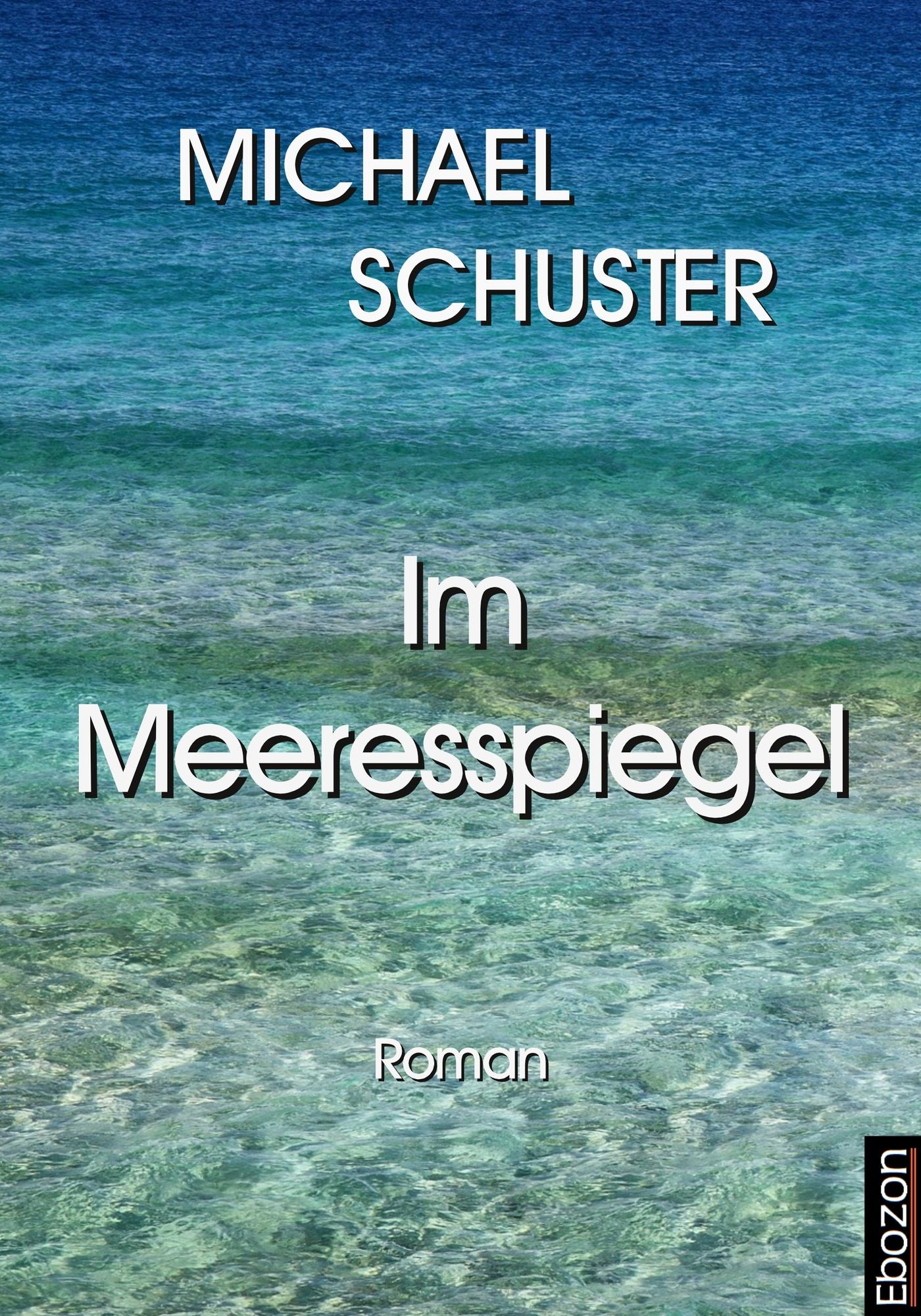 Im Meeresspiegel: Roman