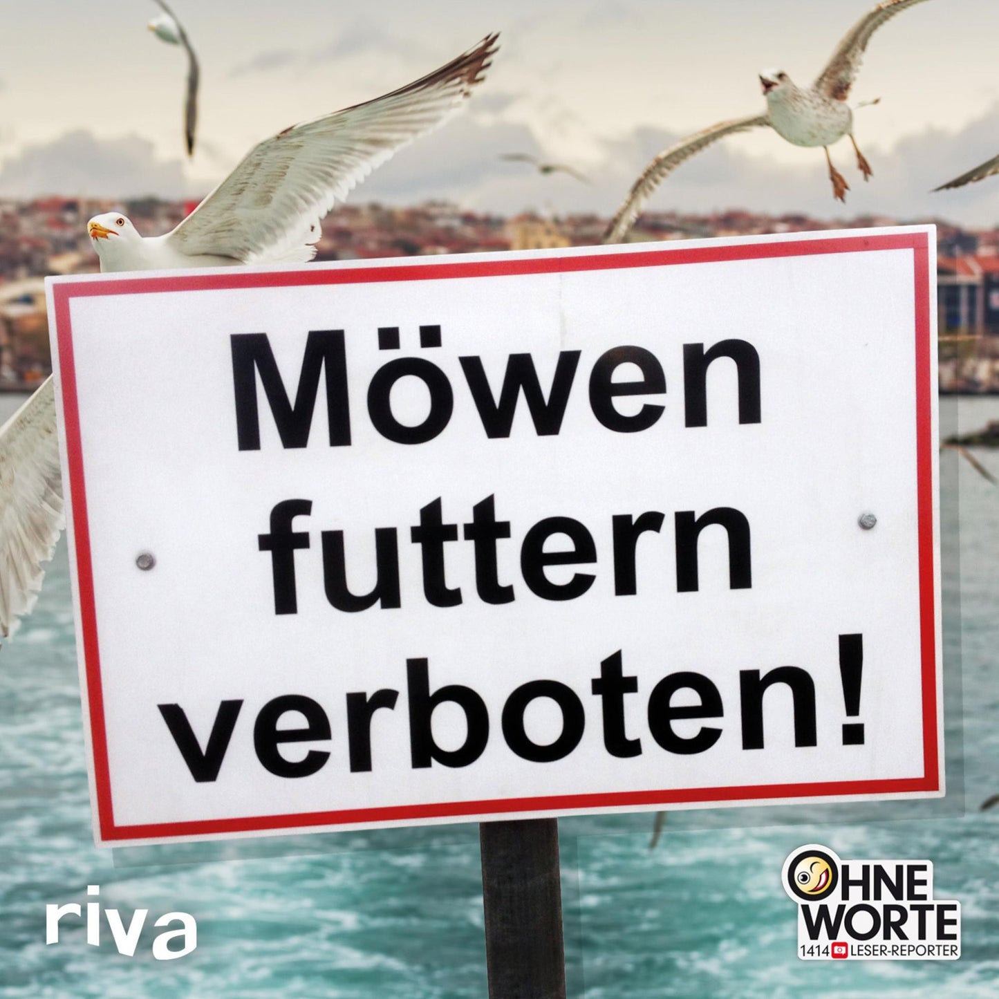 Möwen futtern verboten: 1414 -- Die lustigsten "Ohne-Worte"-Fotos der BILD-Leser-Reporter