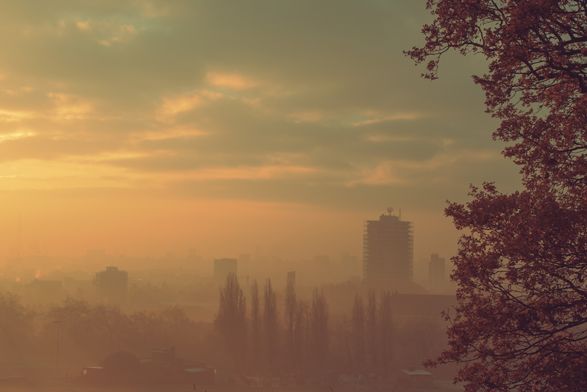Guys, Light, and Nature: Bruno Gmuender Portfolio