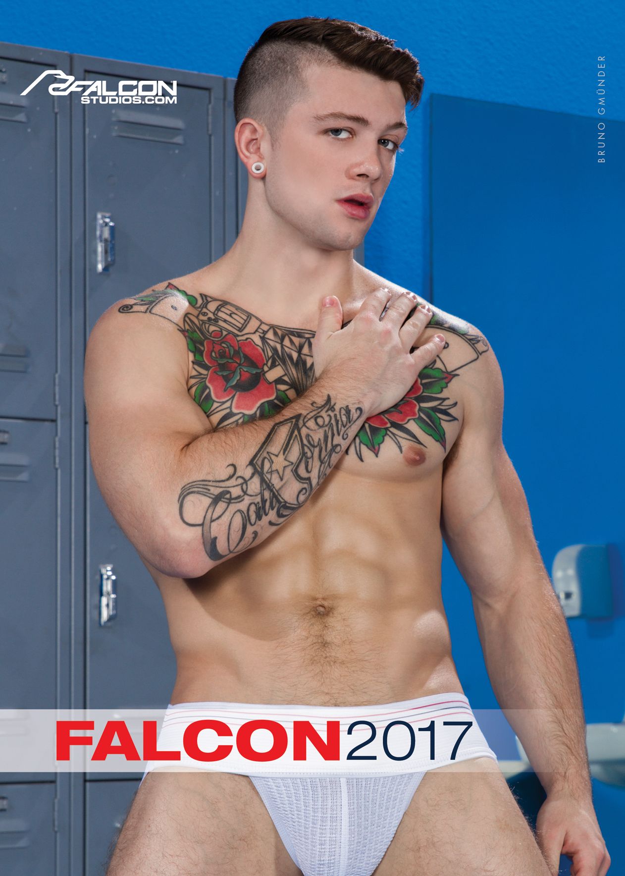 Falcon 2017 Calendar
