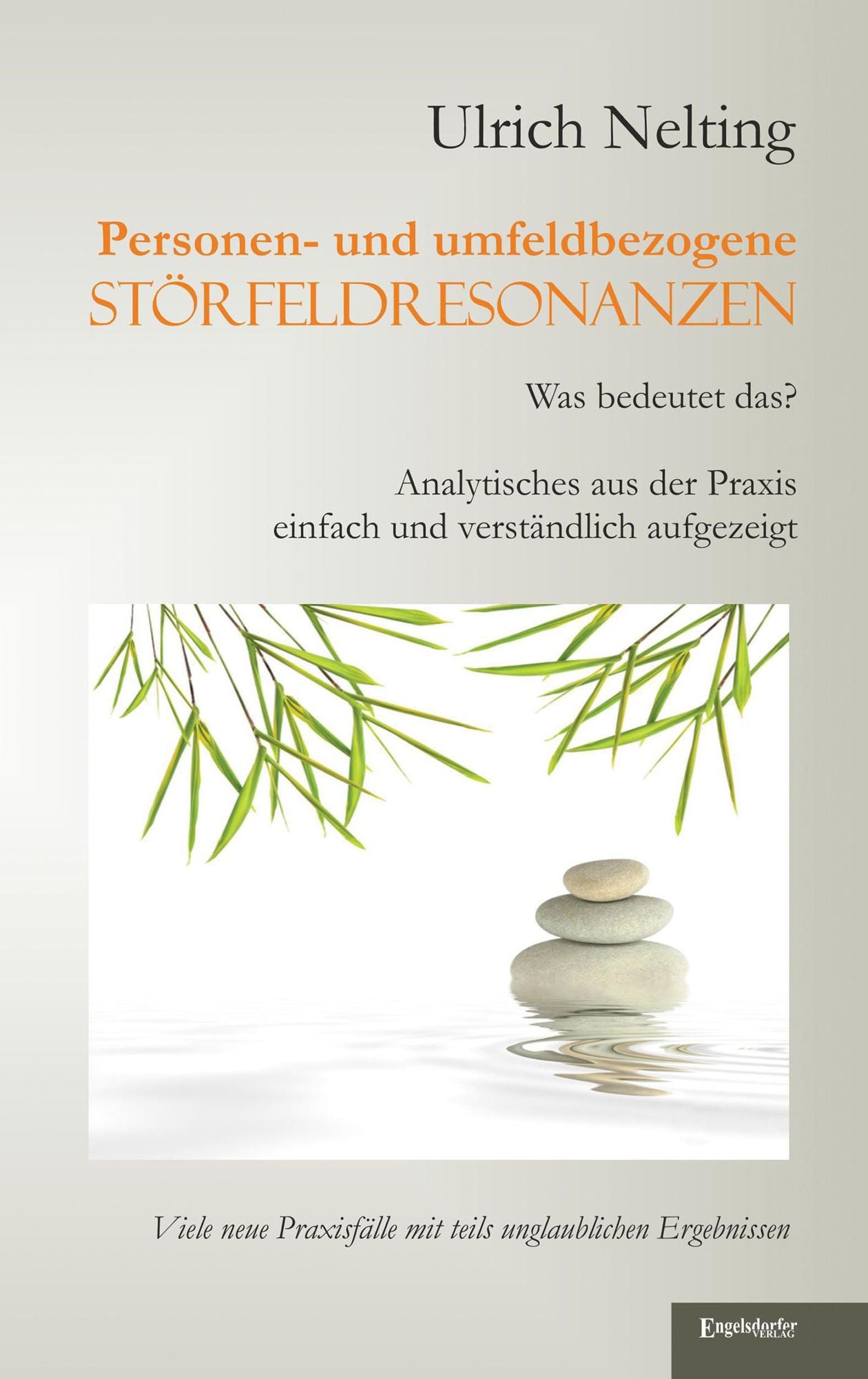 Personen- und umfeldbezogene Störfeldresonanzen: Was bedeutet das? - Analytisches aus der Praxis. - Einfach und verständlich aufgezeigt. - Viele neue Praxisfälle mit teils unglaublichen Ergebnissen.