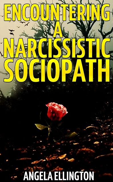 Encountering a Narcissistic Sociopath
