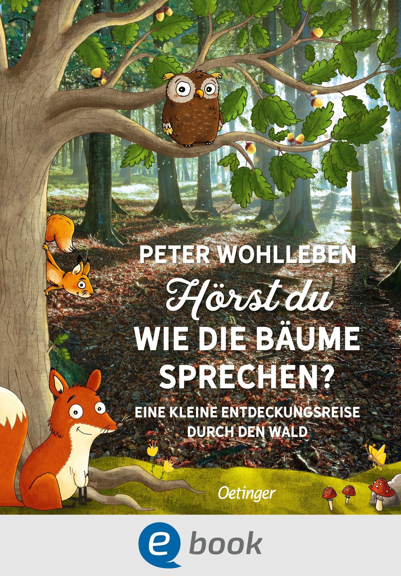 Hörst du, wie die Bäume sprechen? Eine kleine Entdeckungsreise durch den Wald