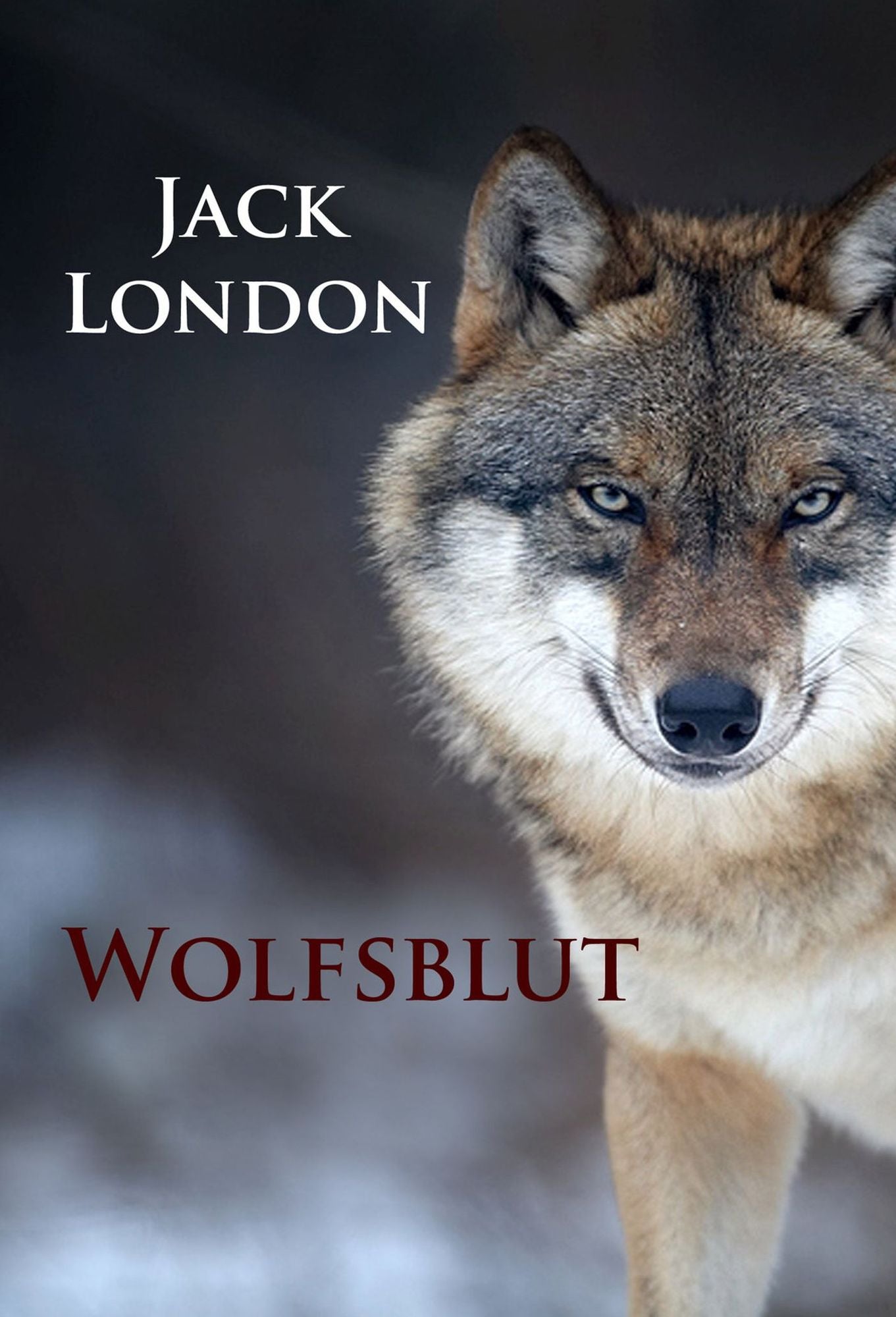 Wolfsblut