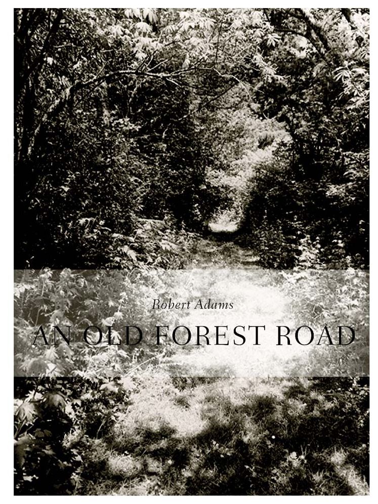 Robert Adams: An Old Forest Road