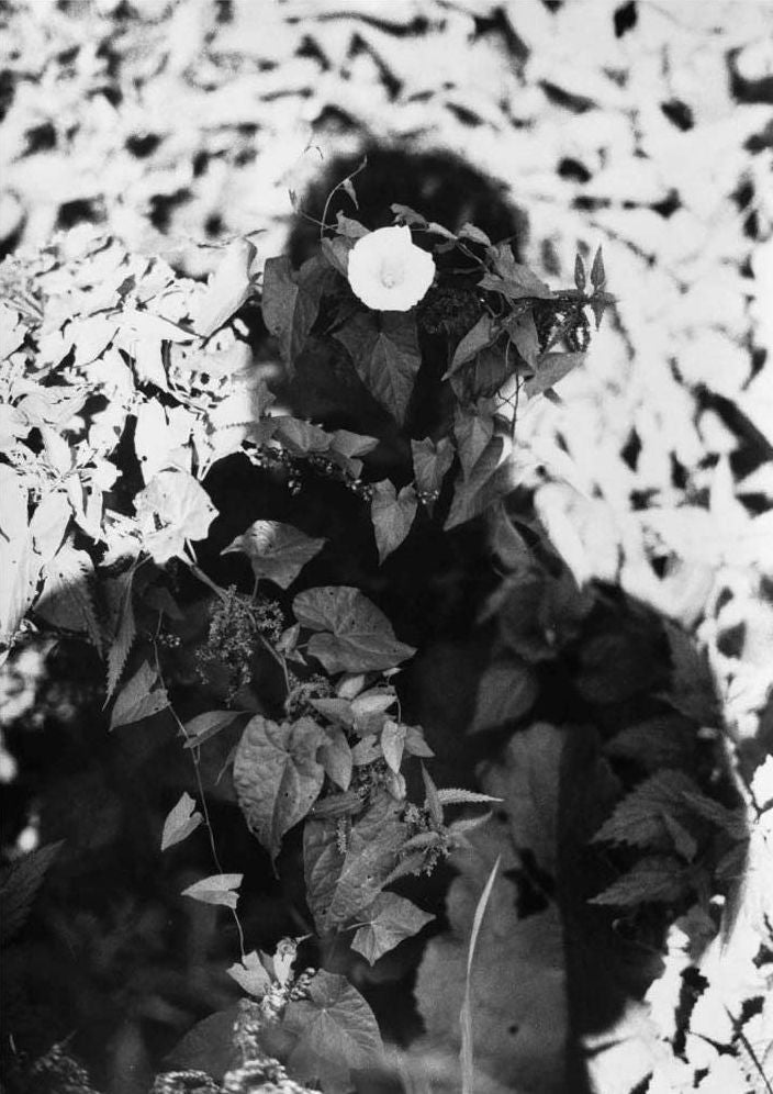 Jochen Lempert: Relaciï¿½n