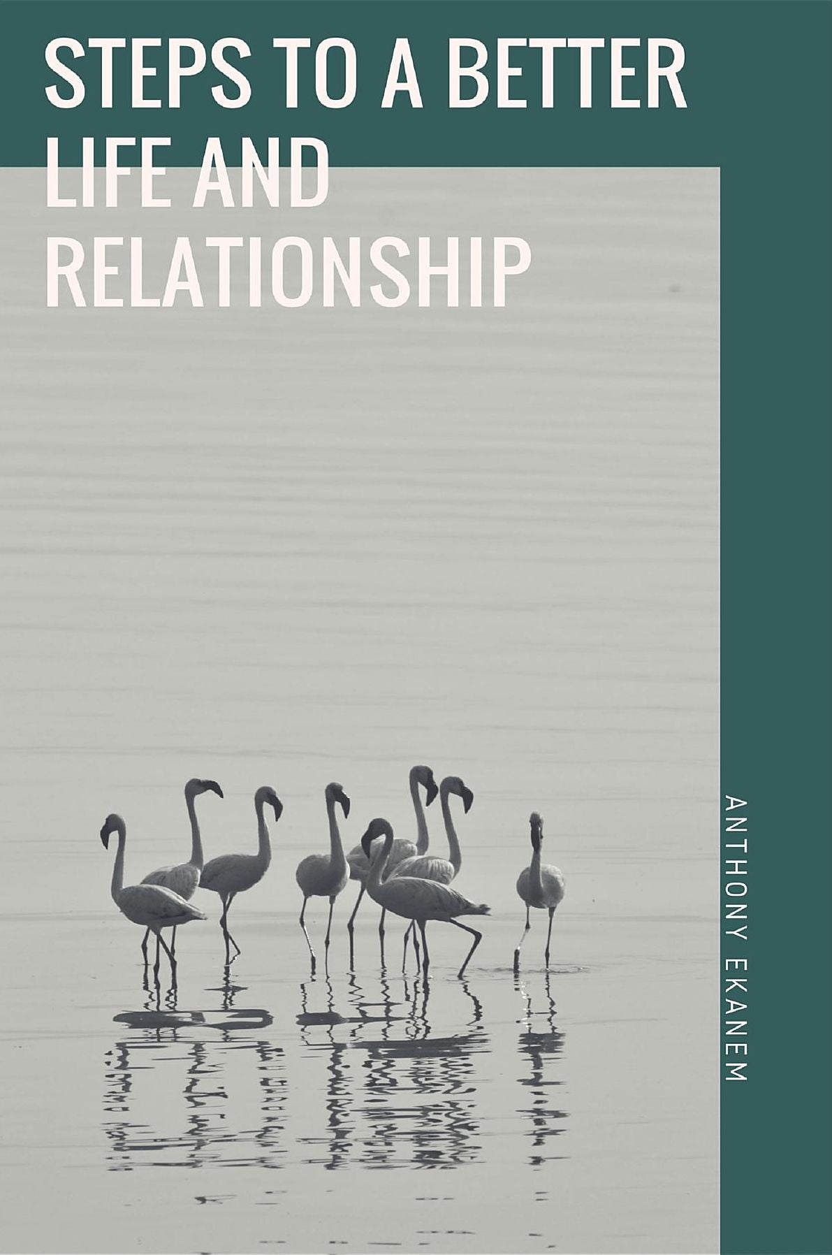 Steps to a Better Life and Relationship