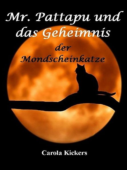 Mr. Pattapu und das Geheimnis der Mondscheinkatze