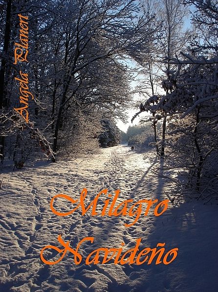 Milagro Navideño