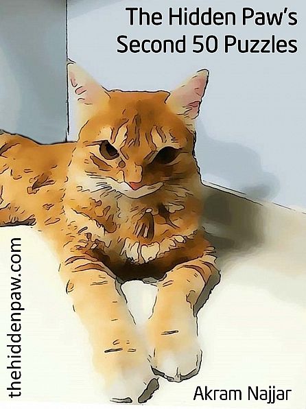 The Hidden Paw's Second 50 Puzzles