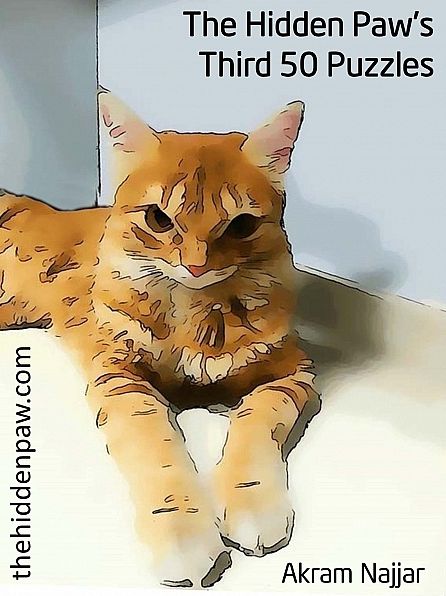 The Hidden Paw's Third 50 Puzzles