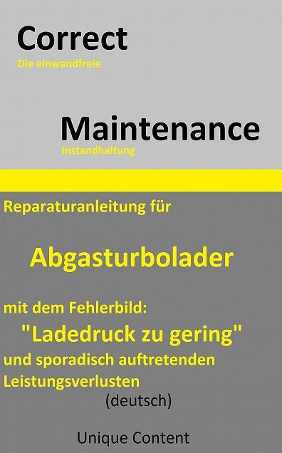 Reparaturanleitung für Abgasturbolader