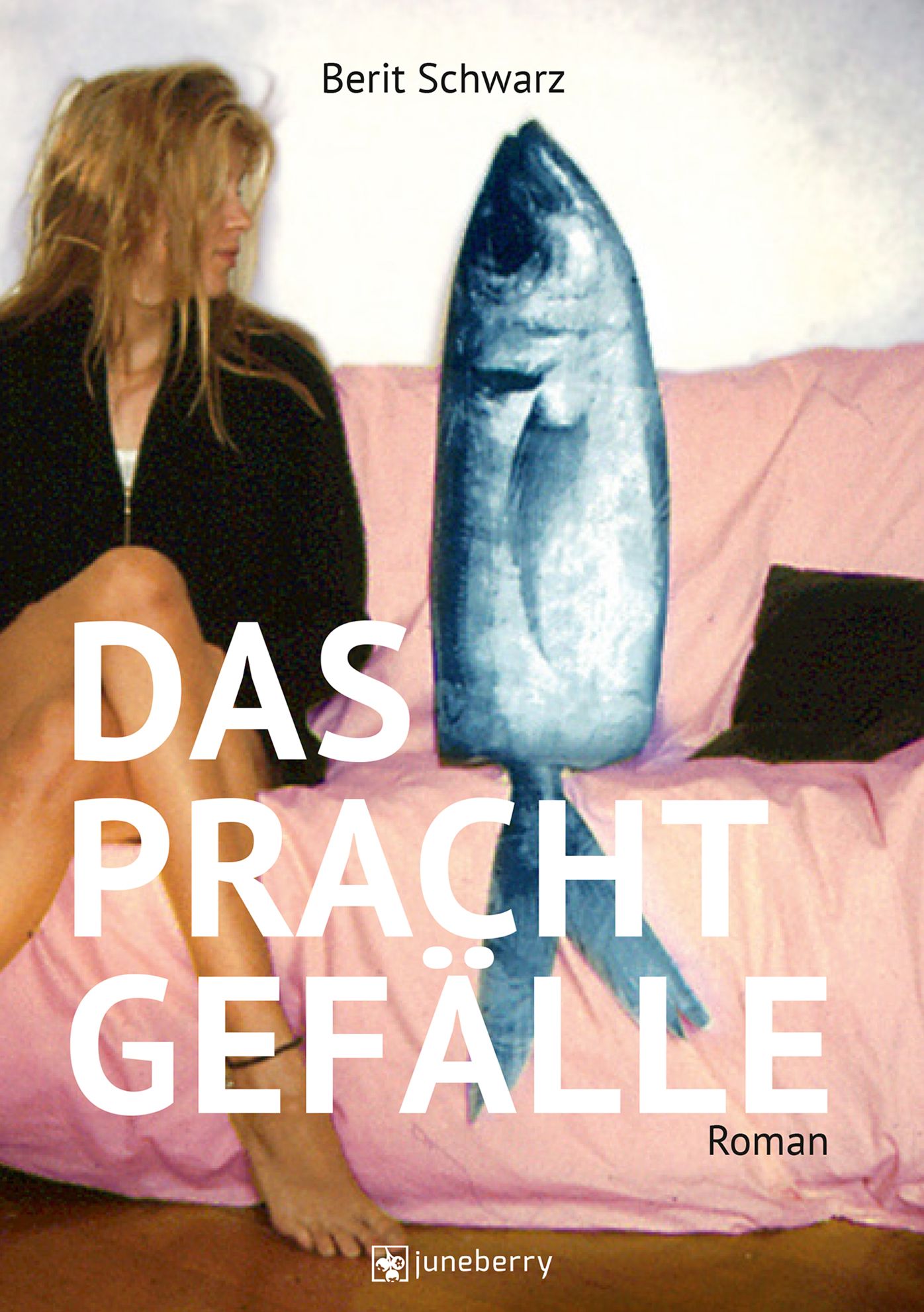 Das Prachtgefälle: Roman