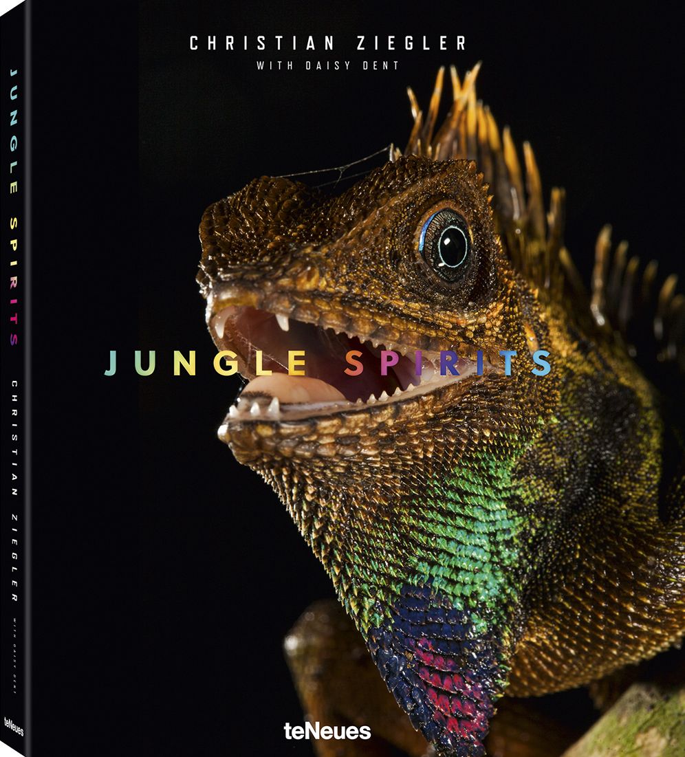 Jungle Spirits