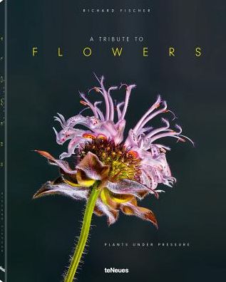 A Tribute to Flowers: Plants Under Pressure