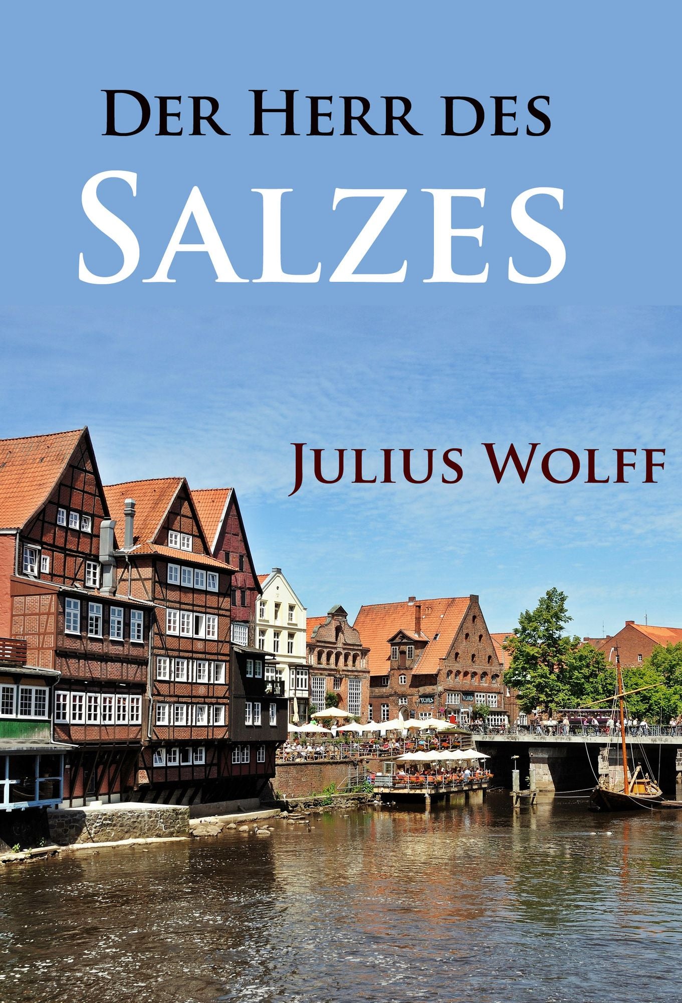 Der Herr des Salzes: historischer Roman